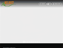 Tablet Screenshot of melrostairport.com